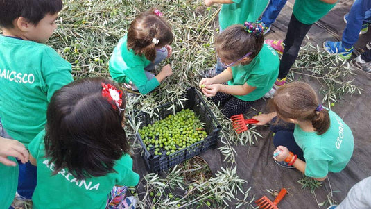 Dalle olive all'olio